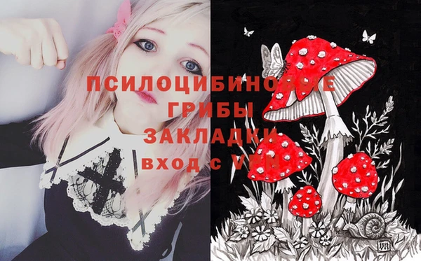 мяу мяу мука Краснослободск